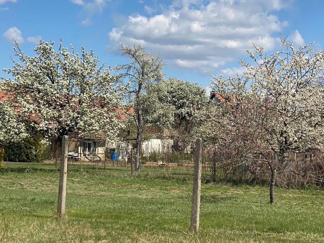 Prazdninovy Dum Sorada Villa Rohatec Bagian luar foto